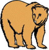 bear