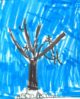 Ryan's tree drawing