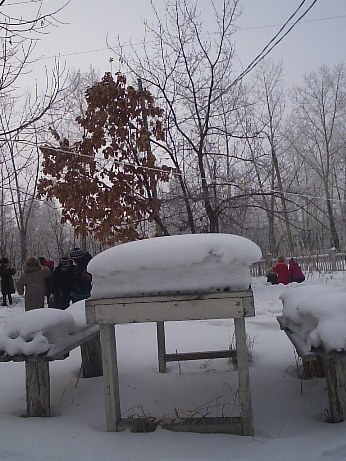 Our Winter Tree 