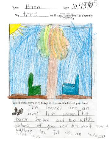 Student artwork