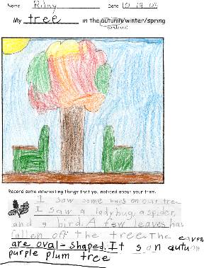 Student artwork