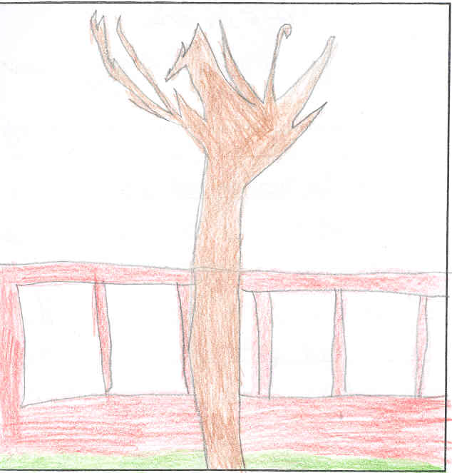 Dominick's Winter Tree
