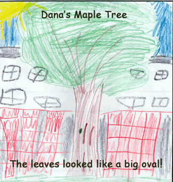 Dana's Maple Tree