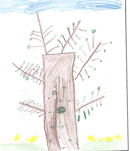 Tara's Spring Tree