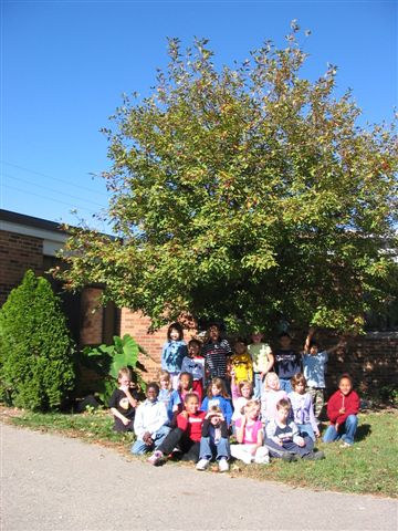Mrs. Dunn's Class