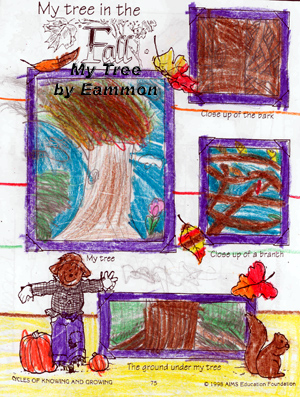 Eammon's Fall Tree