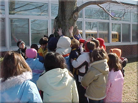 Winter Tree
