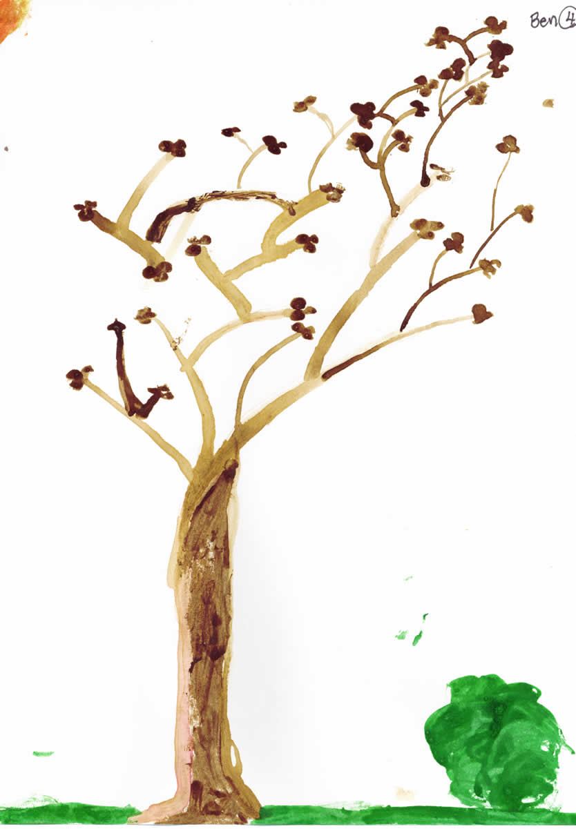 Ben's Winter Tree