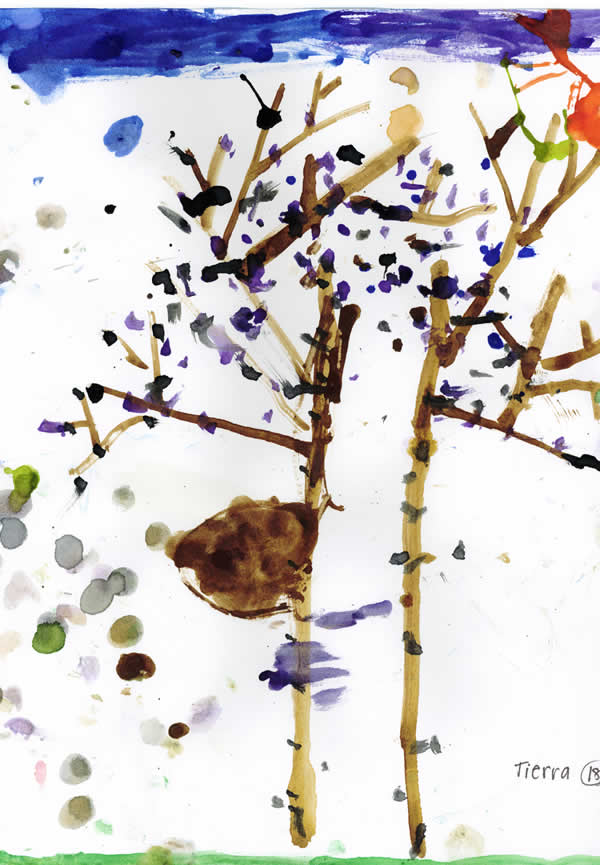 Tierra's Winter Tree