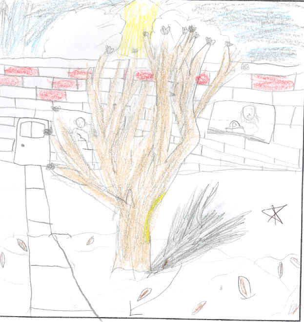 Winter tree