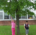 Spring Tree