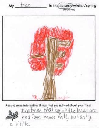 Tree drawing