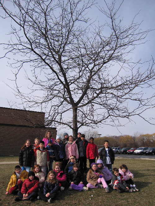 Our Tree in Winter