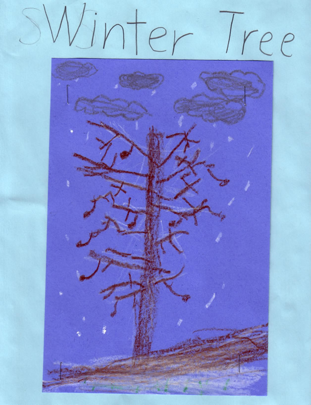 Winter Tree