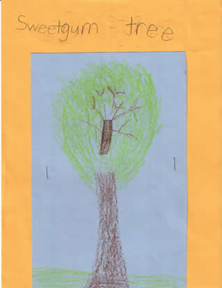Summer Tree