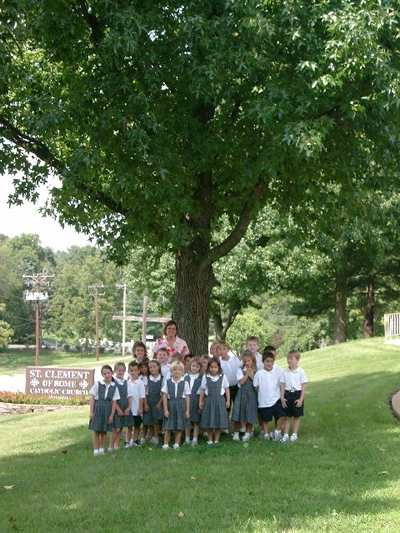 Summer Tree