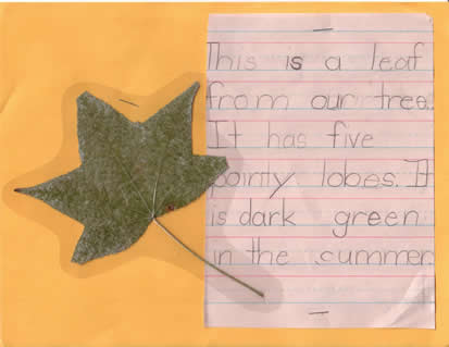 Summer Leaf