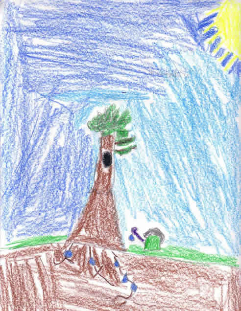 Fall Tree Drawing
