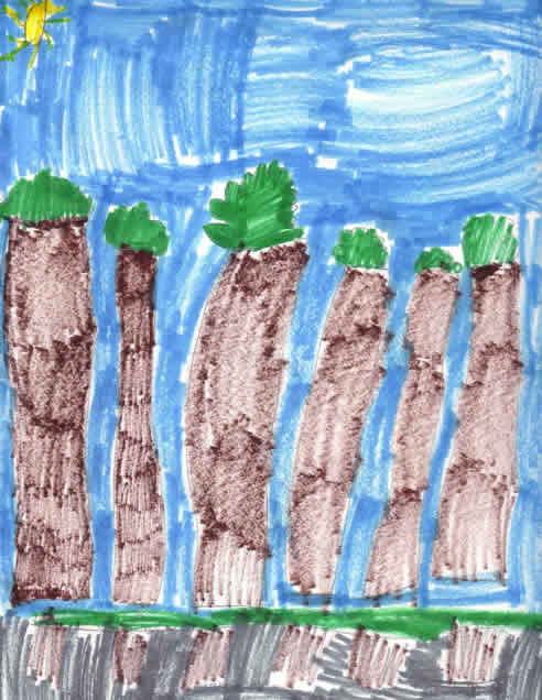 Fall Tree Drawing