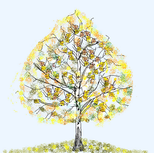 Fall Tree Drawing