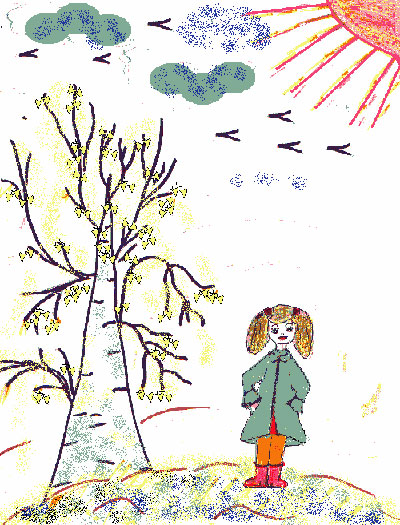 Fall Tree Drawing