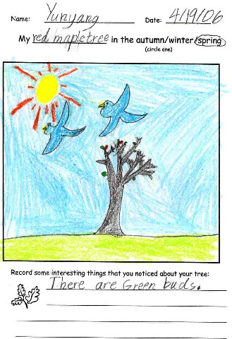 Spring Tree