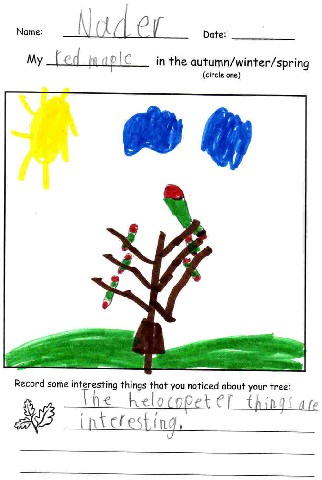Spring Tree