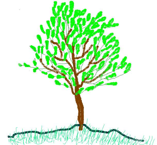 Spring Tree