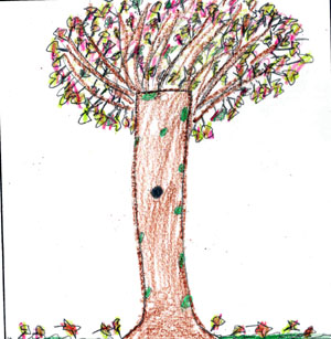 Fiona's fall tree drawing