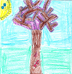 Alex C.'s tree drawing