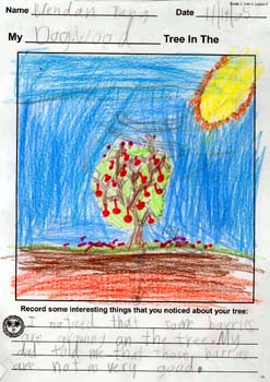 Brendan's tree drawing