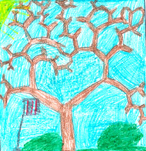 Daniela's tree drawing