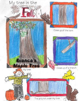 Bianca's Tree