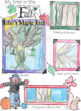 John D's Tree