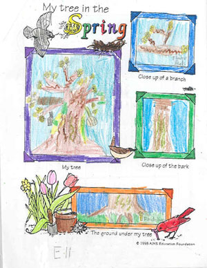 Eli's spring art