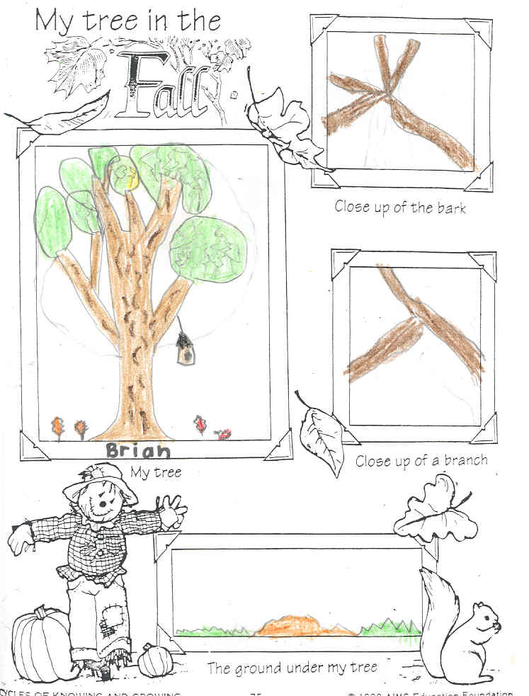 Brian's Fall Tree