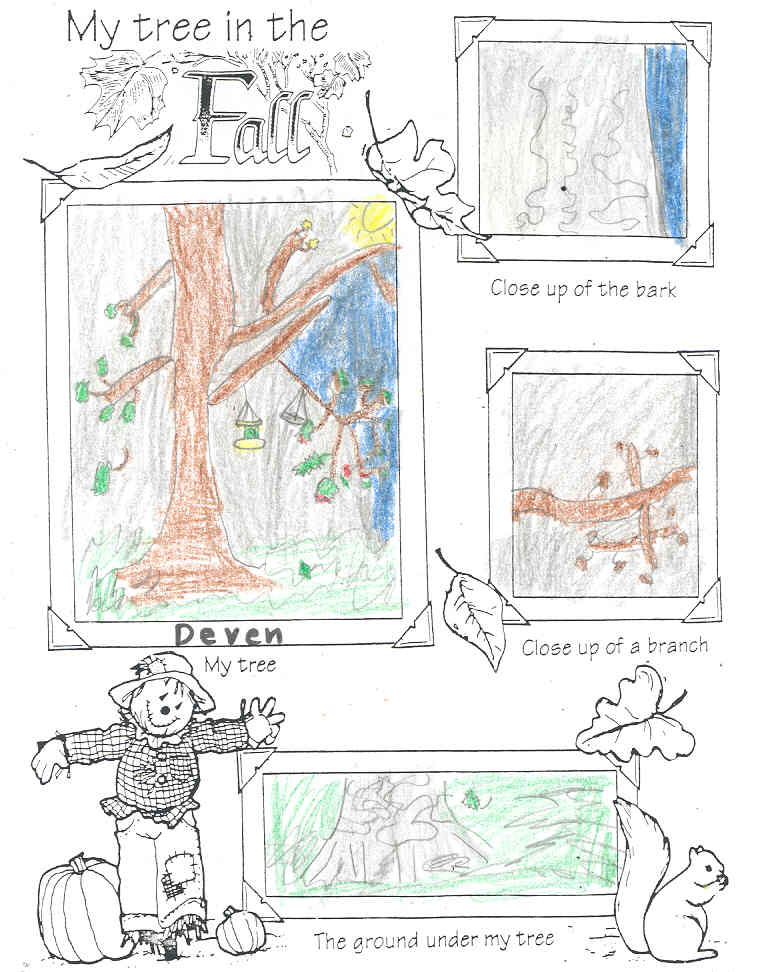 Deven's Fall Tree