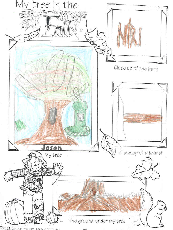 Jason's Fall Tree