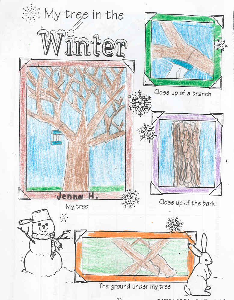 Jenna's Winter Tree