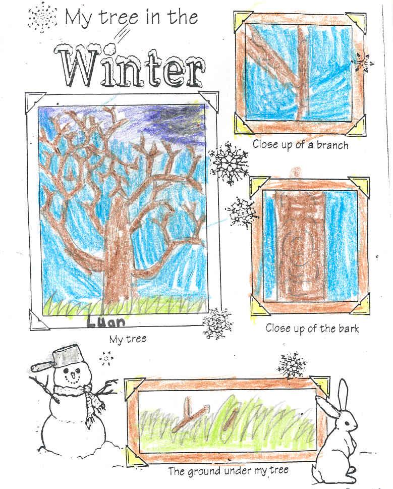 Luan Winter Tree