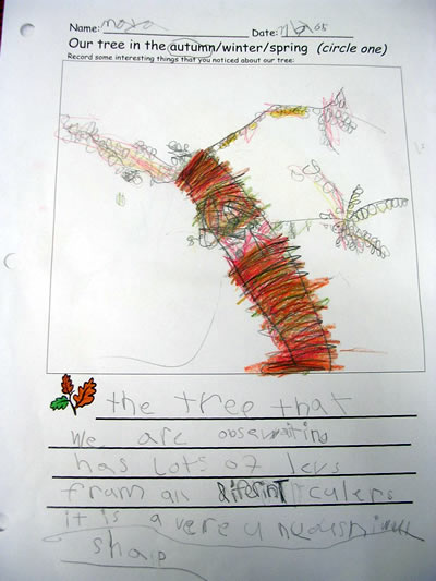 Tree Drawing