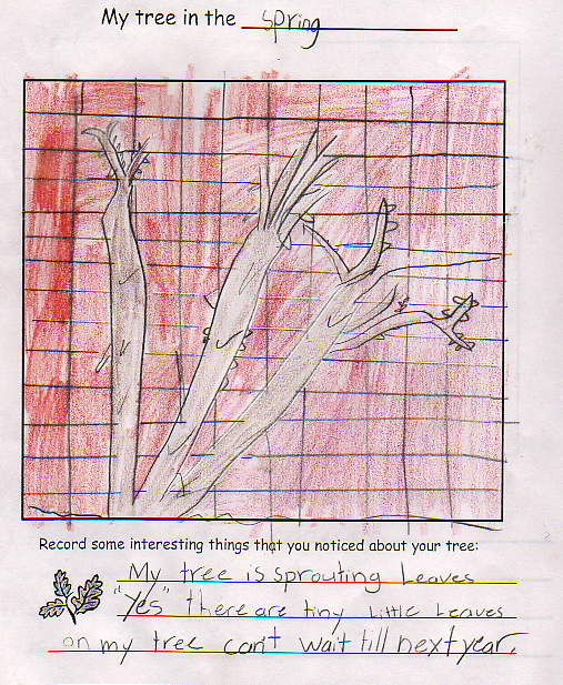 Spring artwork