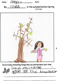 Magali's Winter Drawing