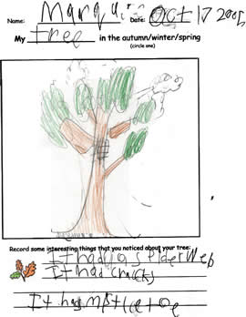 Marquese's Fall Tree