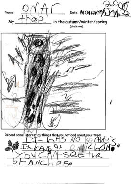 Omar's Winter Artwork