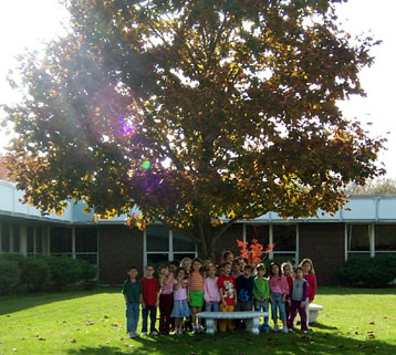 class tree