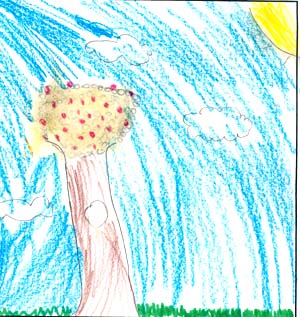 Lucy's tree drawing