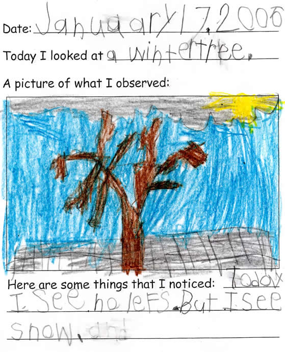 Hudson's Artwork