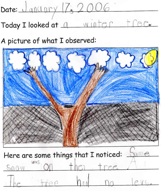 Lissa's Artwork