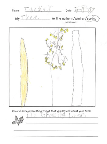Tucker's Spring Artwork
